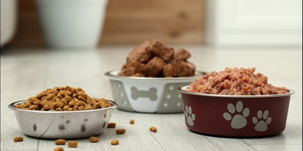 Pet Food Essentials: Optimal Nutrition for Your Furry Friends