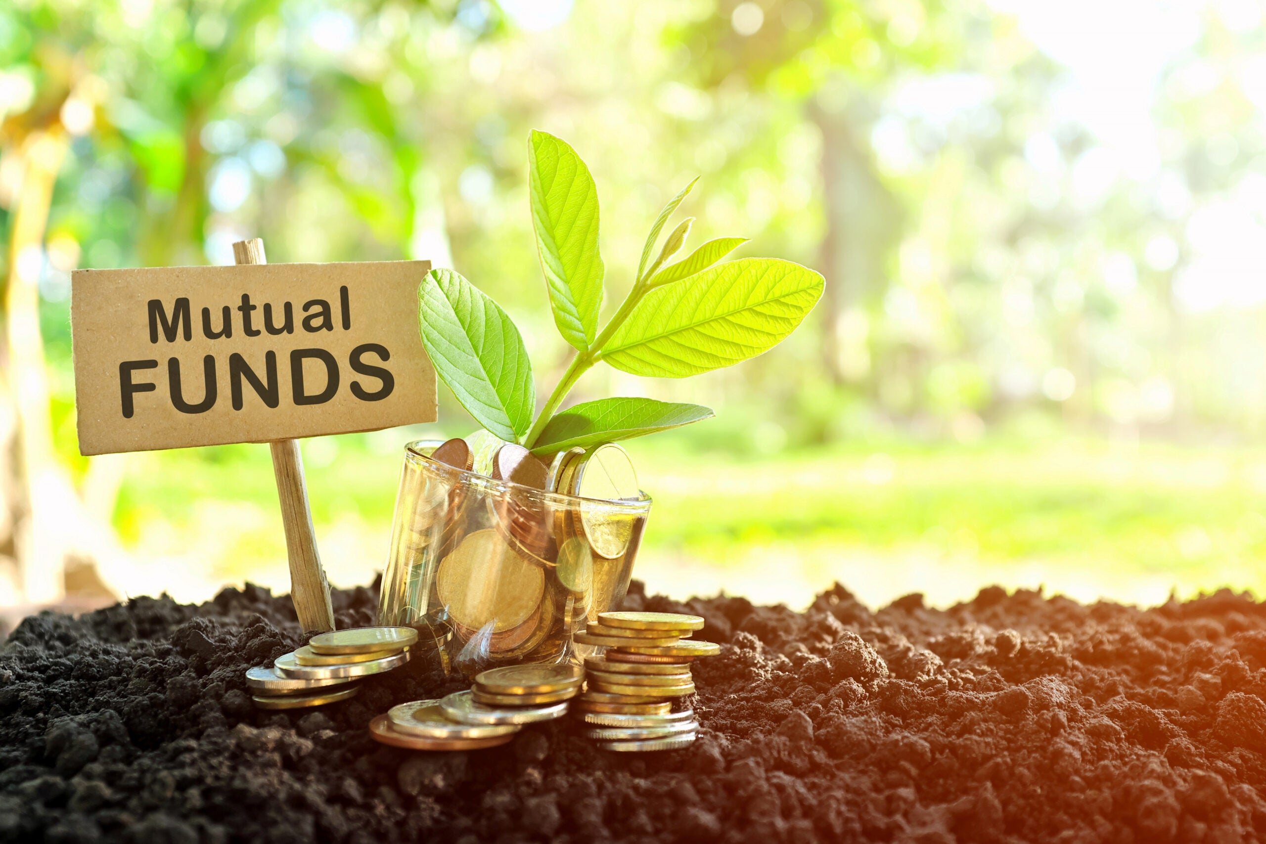 Smart Investor's Guide: Top Mutual Funds of 2025