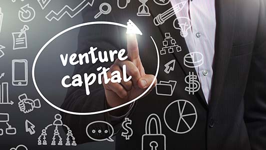 Securing Venture Capital: Tips and Strategies for 2025