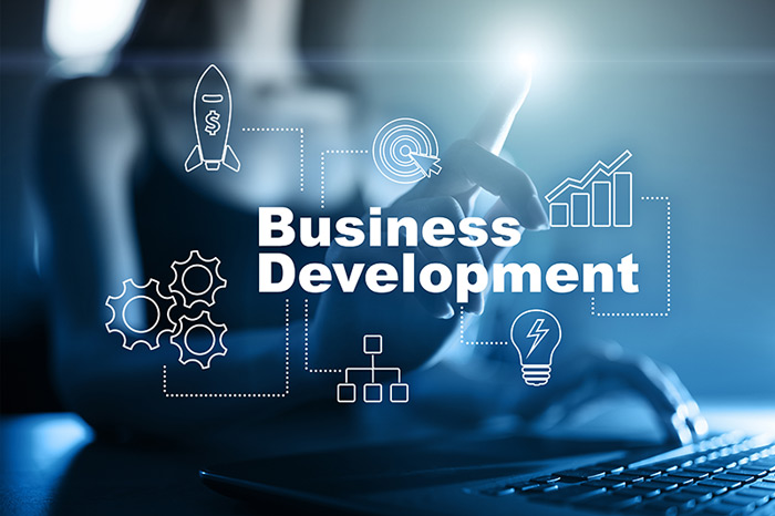 Business Development: Strategies Tools and Success Tips